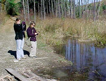 The early
Landscape Change Program home page