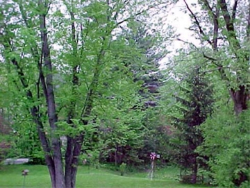Red Mill on Browns River, Route 15