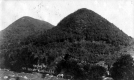 Cow Grazing in Rocky Field with Hanley Mountain in the Background 
