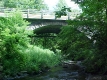 Bridge over the Sugar Hollow Brook 