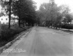 Willard Street Looking South 