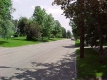 Willard Street Looking South 
