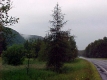 Field at the Site of Former Dry Pond
