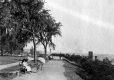View Looking South in Battery Street Park