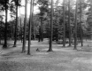 Ethan Allen Park Looking North