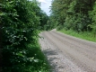 Dirt Road Near Sunset Lake