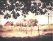 Charlotte Poor Farm