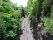 The Railroad Cut Revegetated