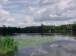 Curtis Lake From Boat Launch