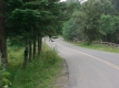 Bridge Outside of Town