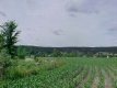Farm field near viilage