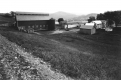 Venture Farm along Rt. 2