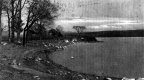 Beach Along Hathaway's Point