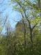 Ethan Allen Tower