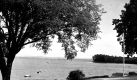 View of City Bay from the Irving House