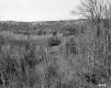 Winooski River before the Interstate