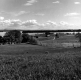 Grassy Field Overlooking Shoreline