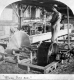 Saw Mill