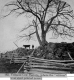 Splitrail Fences and Cow Pasture
