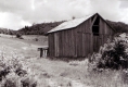 Deserted Barn
