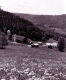 Spring Comes to a Valley in Barnet 