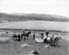 Harvest Time