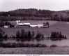 Dairy Farm on Molly's Pond