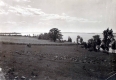 Fields on Saint Albans Bay
