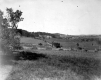 Farm Scene with Wooden Fences