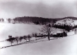 Sunnyside Farm