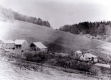 Farm Scene
