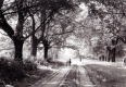 Rural Life