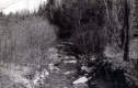Small Brook