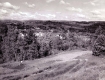 Birdseye view of town  