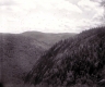 View from Wheeler Mt.