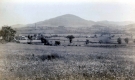 Farm Fields and Few Trees