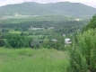 Forested Valley