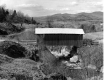 Covered Bridge on a Branch of the Trout River
