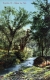 Stream Below the Falls