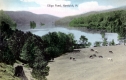 Cows grazing near Elligo Pond