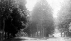 Dirt Roads Past The Park