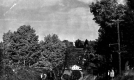 Horse and Buggy Climbing Main Road