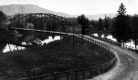 Bridge in Morrisville