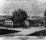 Engraving of Royalton Hotel, Skinner's Residence and Store
