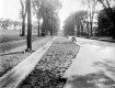 Colchester Avenue Construction