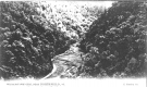 Williamstown Gulf