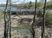 Dam and falls on the Missisquoi