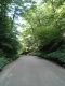 Gulf Road