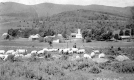 Sheep grazing near town