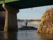 The Essex Dam (Reshot)